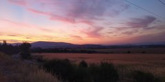 IMG_20190911_054500.jpg