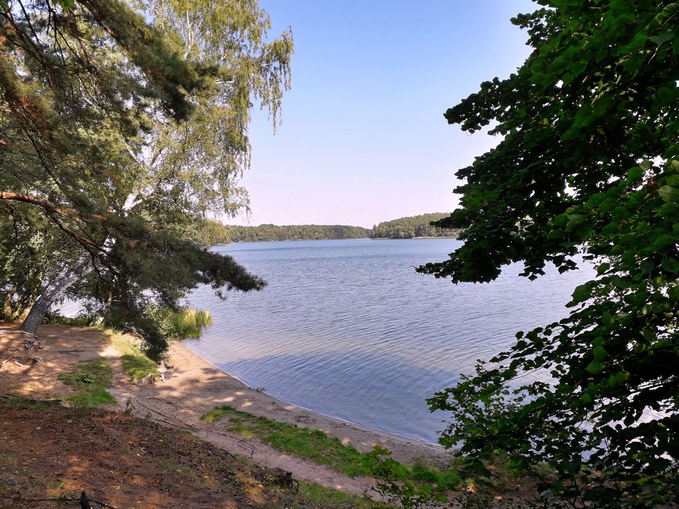 20190911_175042.jpg - Alien65