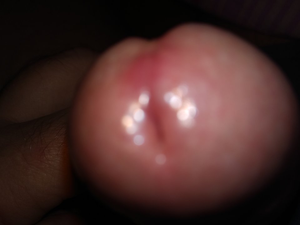 15682308340365300366408186732699.jpg - dupekalex