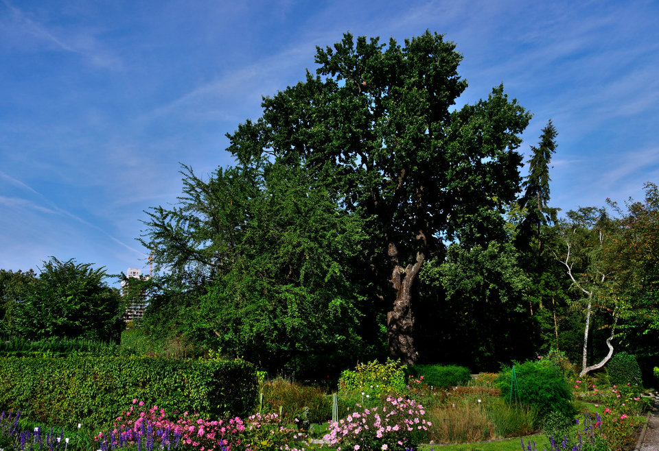 _1090036.jpg - FoKam431