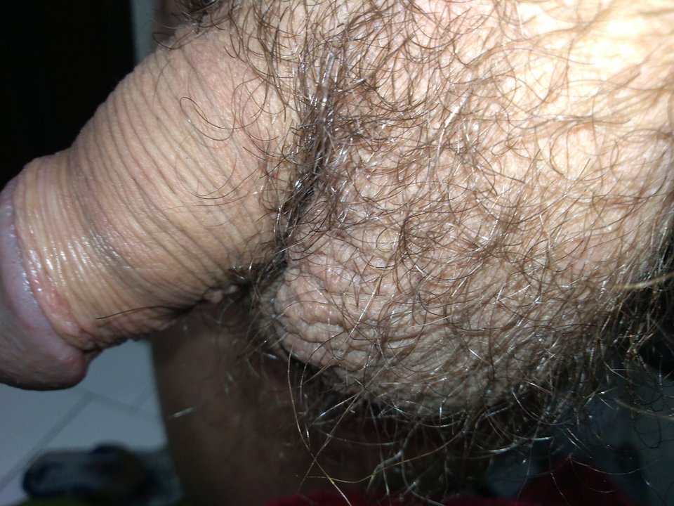 1568261321483639317438533274177.jpg - matuzalem000