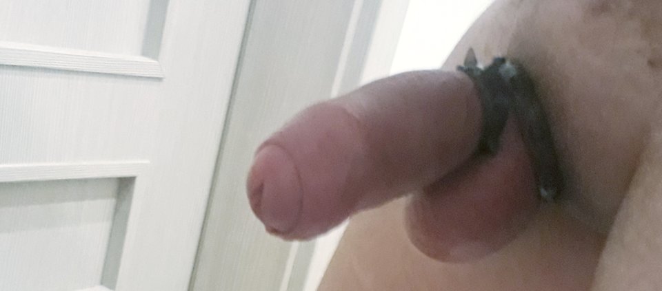 20190912_084526.jpg - Veget