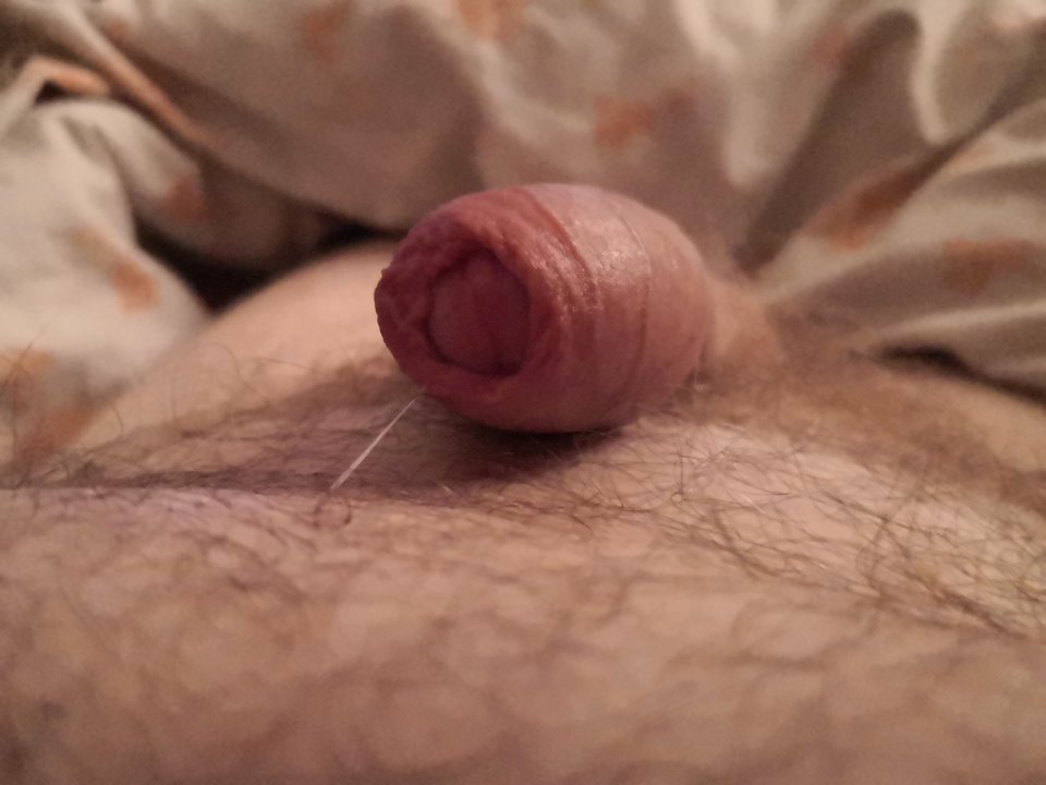 IMG_20190912_090427.jpg - ragun