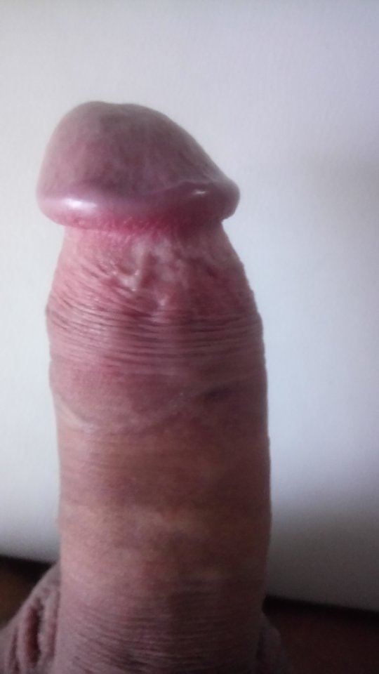 DSC_0031.JPG - banitta