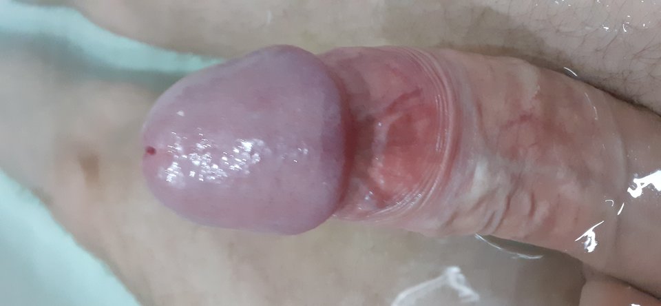 15683054406972602613897044238616.jpg - Piciu1587