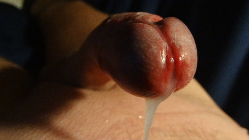 DSC01312.JPG - matador777