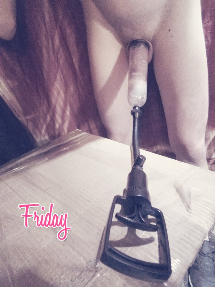 pompka.jpg - Carnauba