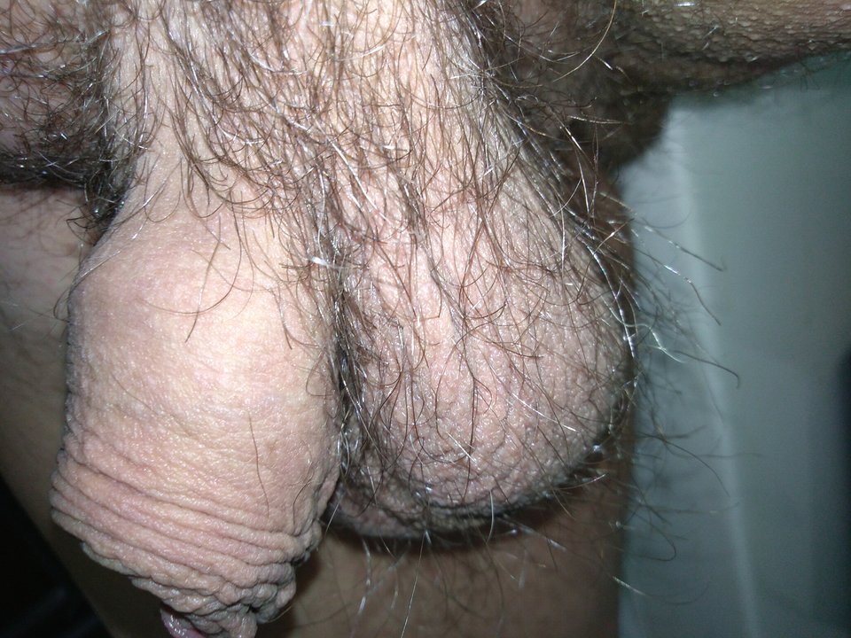 15683478959567511742523372988549.jpg - matuzalem000