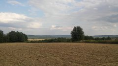 20190817_172008_HDR.jpg