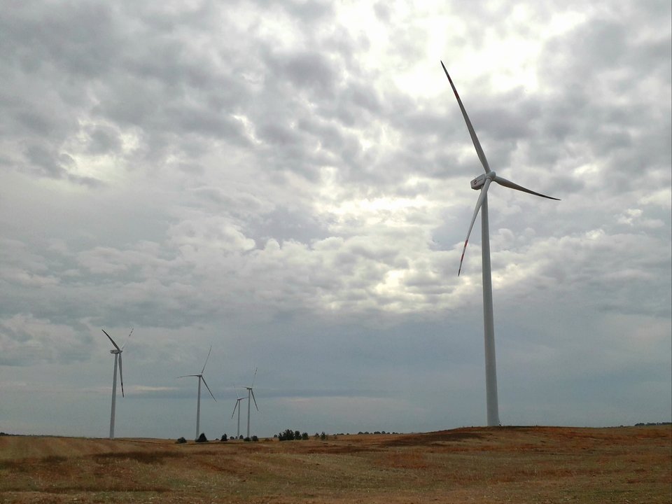 20190913_144646.jpg - Alien65