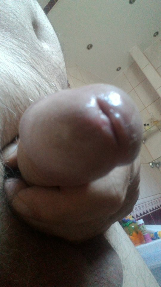 70473552_2683044471735083_2712386295417536512_n.jpg - konrad5258