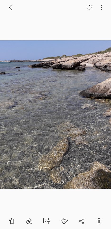 Screenshot_20190913-190805_Gallery.jpg - Nuteczek101