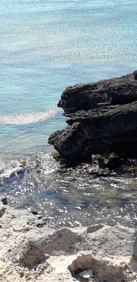 Screenshot_20190913-202800_Gallery.jpg - Nuteczek101