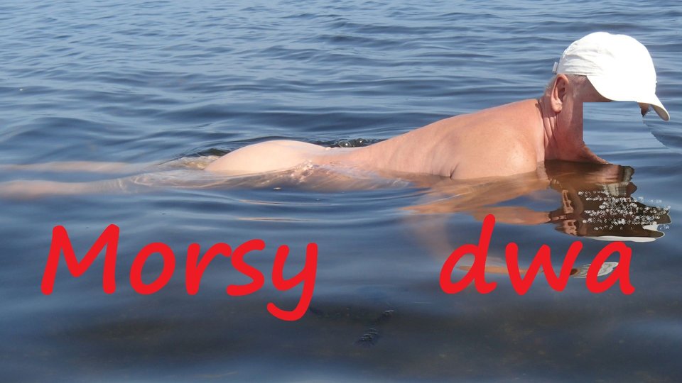 Rewa. - Morsy_dwa