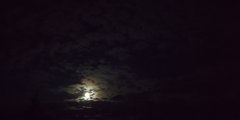 IMG_20190913_204723.jpg