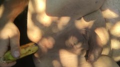 85B11D4C-E6E1-442C-8346-99FD50CB65FF.jpeg
