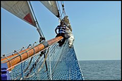 DSC_0082.JPG