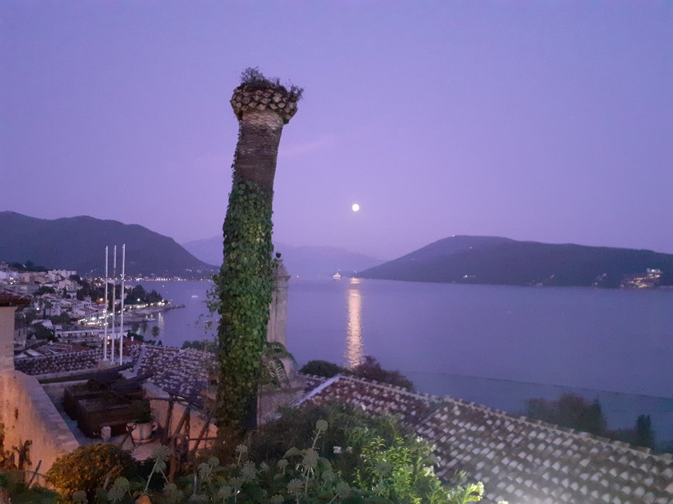 20190912_192554.jpg - Przemodkl79