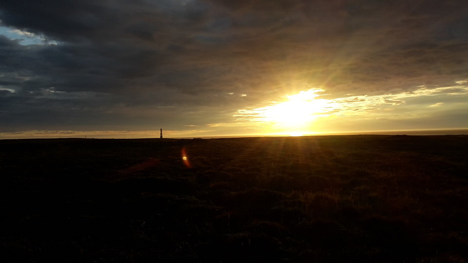 101.jpg - sediento11