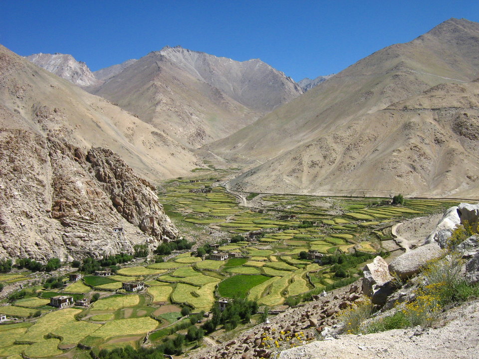 111.jpg - sediento11