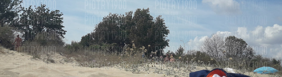 ZłotyBrzeg.jpg - piotry1900