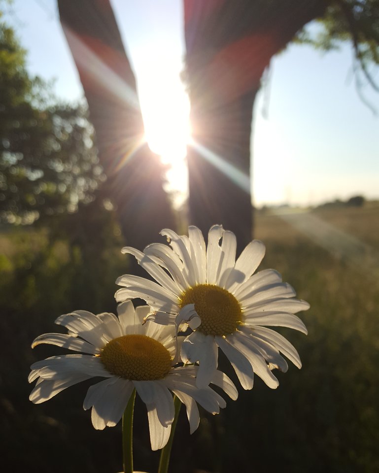 20190603_222245.jpg - teztolubiacy