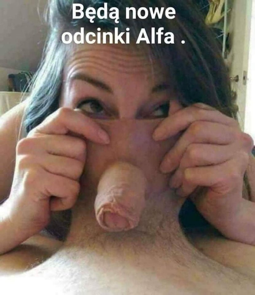 20190425_074216_d666ebb7-6307-4a48-a8d9-1baf6f6867b9.jpg - Bigdick18cm