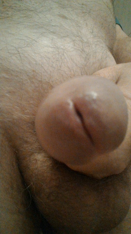 70255699_1352836934866788_3168492043928338432_n.jpg - konrad5258