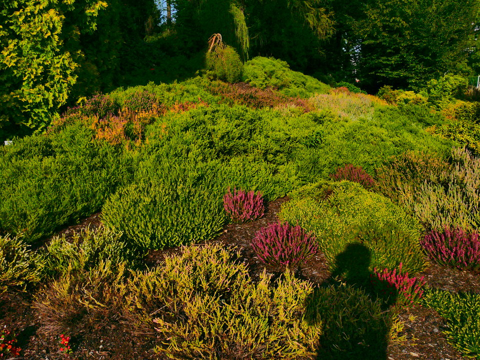 P1090252.JPG - FoKam431