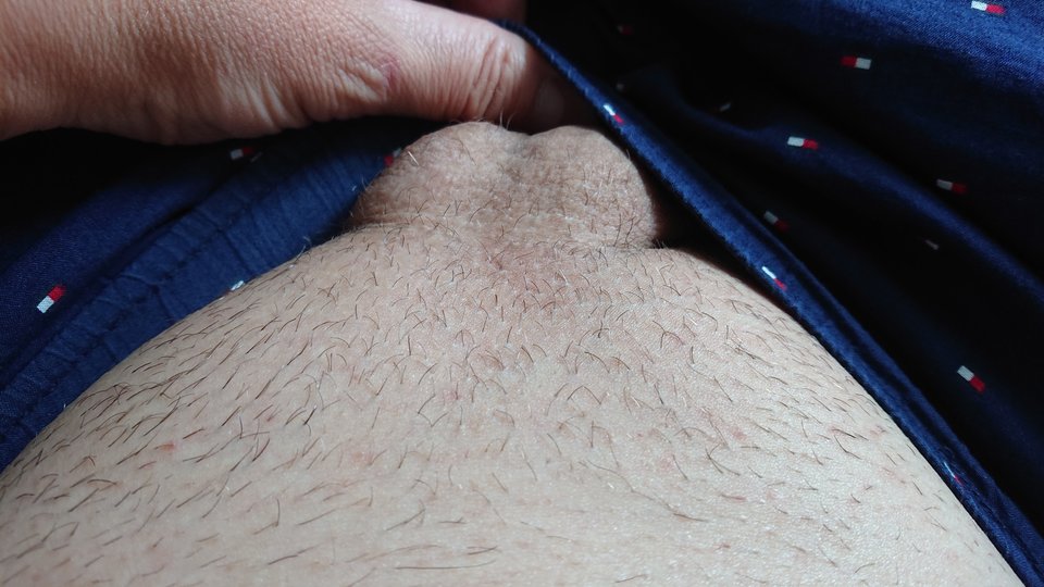 DSC_8770.JPG - Andy_wiecz