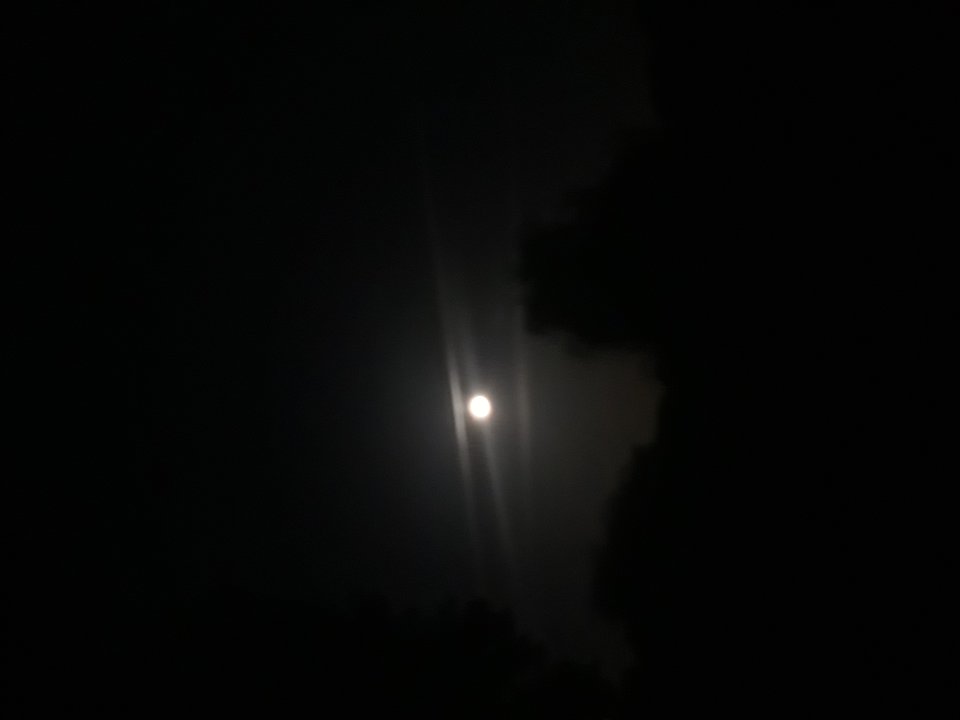 20190914_214023.jpg - daroo20011