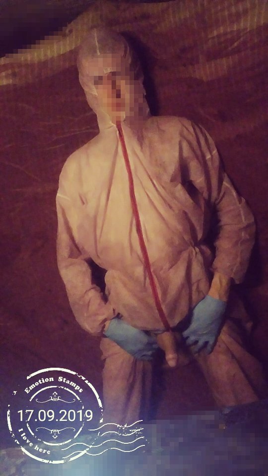 Ostro.jpg - Carnauba