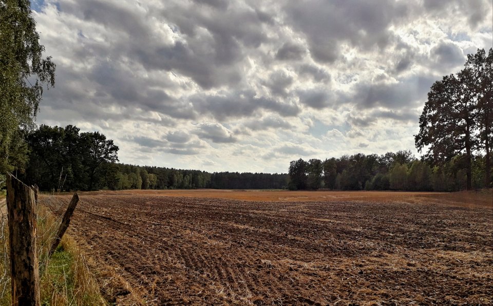 20190917_105341.jpg - Alien65