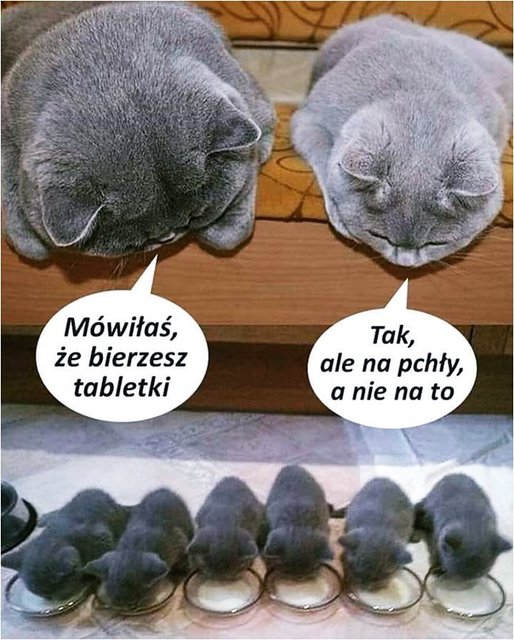 FB_IMG_1568012966034.jpg - FILIPPO13