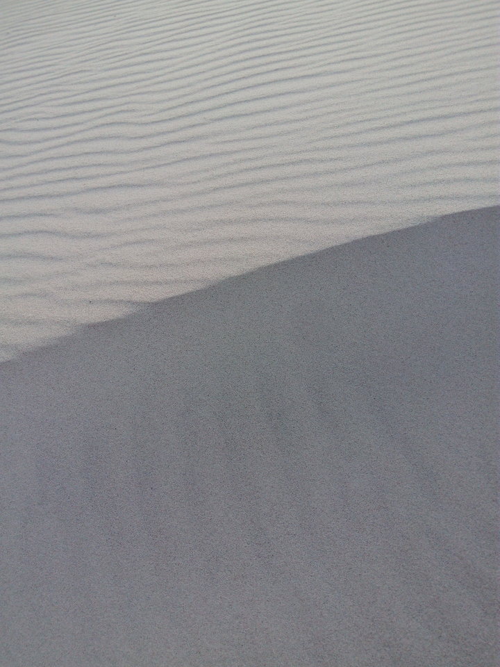 IMG_20190916_191012.jpg - Goliat_Myszka