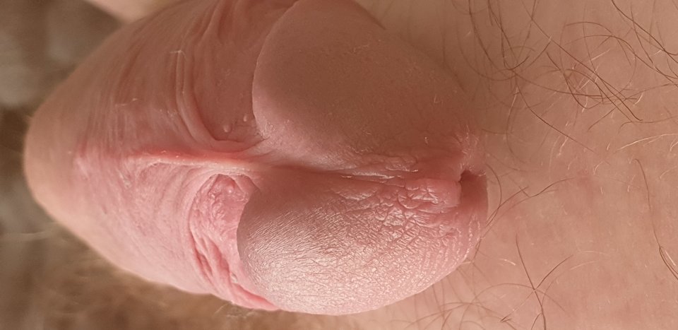 20190918_162825.jpg - robertoad