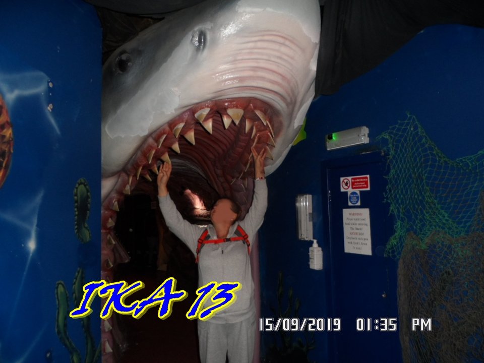 SAM_2334.JPG - ika13
