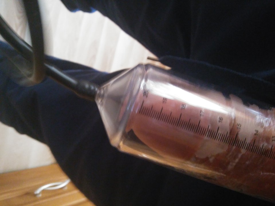 20190919_141254.jpg - martin120174