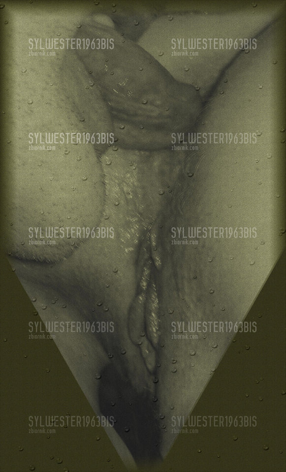 [000293].jpg - sylwester1963bis