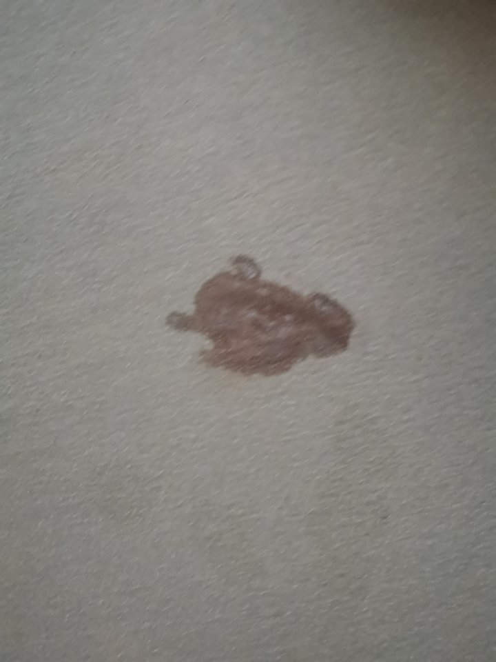 15689643719078489919838205128315.jpg - Voresfraekkeliv