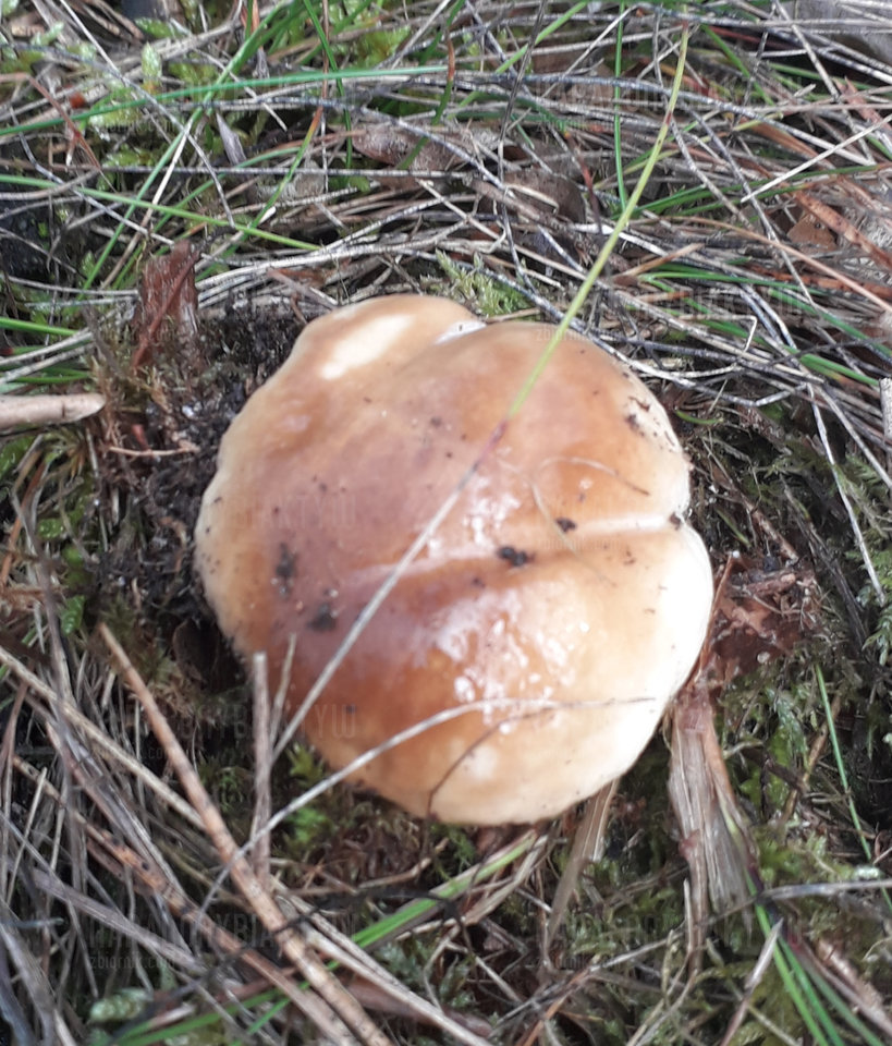 20190920_182953.jpg - napalonybiaktyw