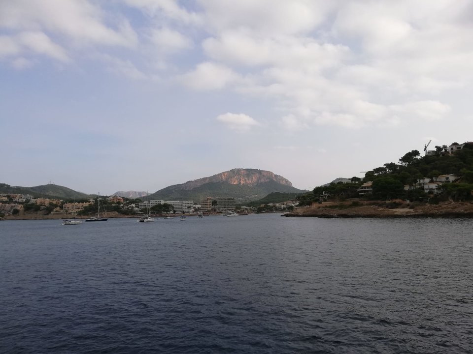 IMG-20190916-WA0018.jpg - jak2109