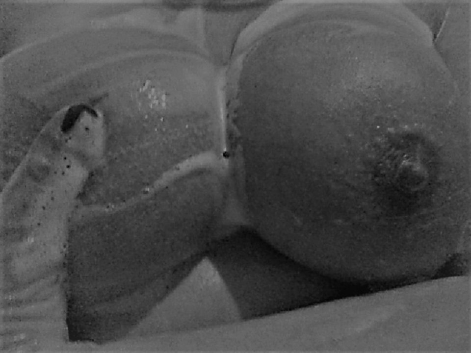 sysunie.jpg - wredota1987