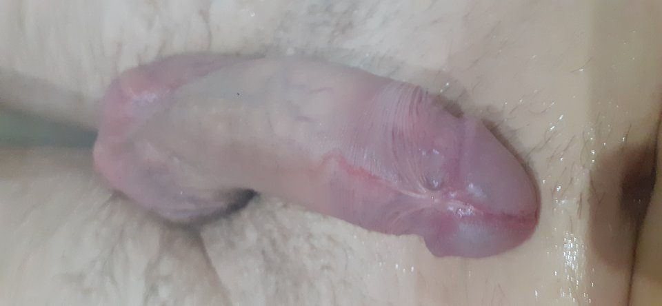 15691519105147184281781032922726.jpg - Piciu1587