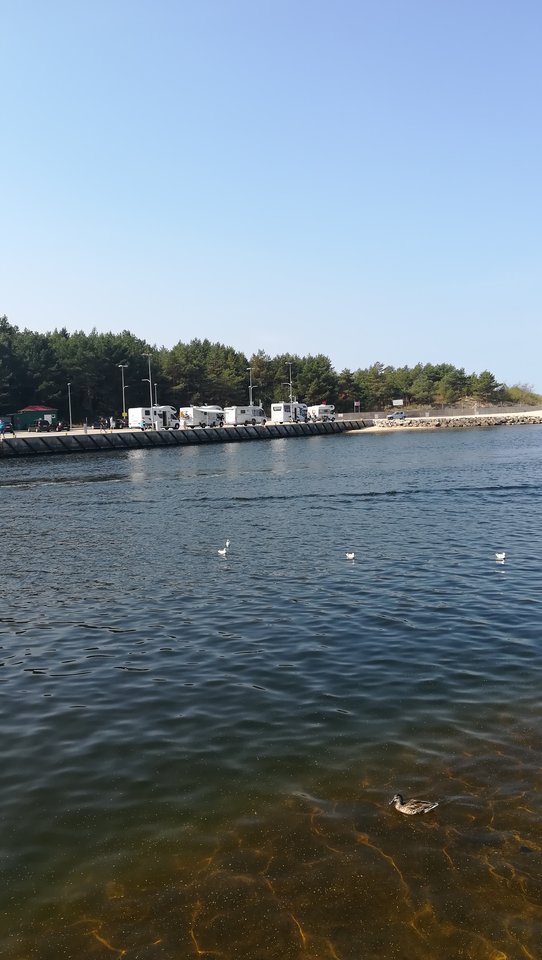 IMG_20190830_114401.jpg - krzyssuu