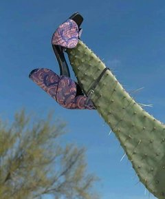 Damą być ach! damą być!