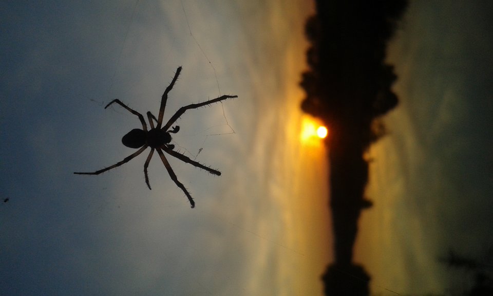 20190922_181801.jpg - XXXsmileXXX