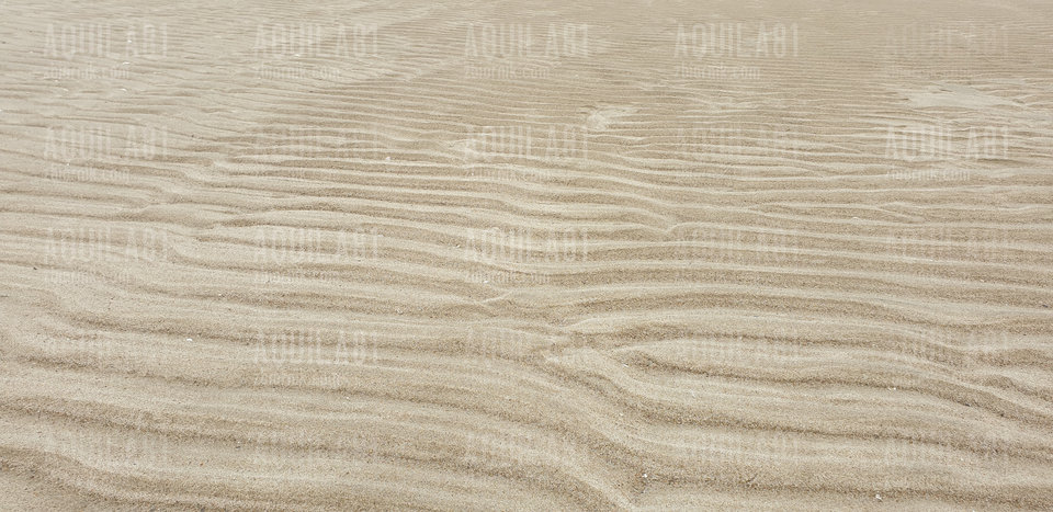 20190922_123736.jpg - aquila81