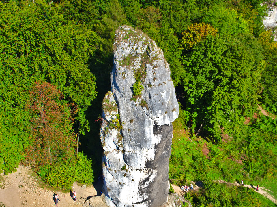 DJI_0148_01.jpg - FoKam431