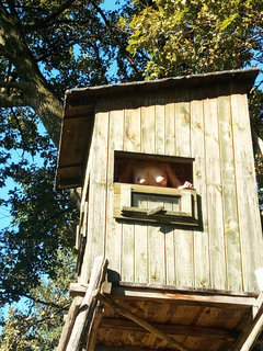 I  gdzie ta zwierzyna